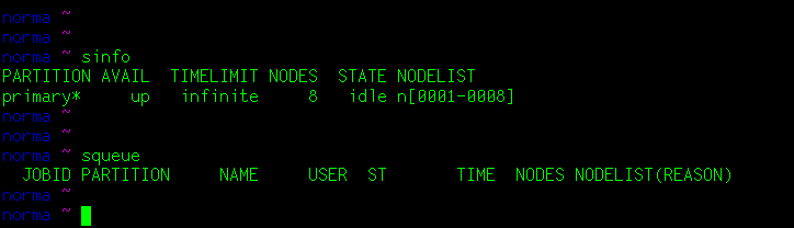 slurm_command_line_1.png