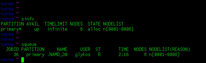 slurm_command_line_2.png